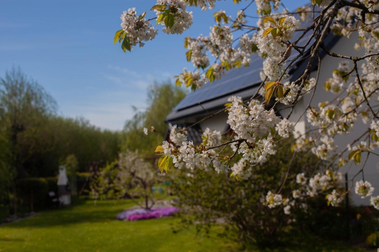Apartmán Pod Lipa Ustka Exteriér fotografie